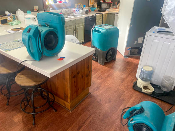 Best Local water damage restoration  in Bloomsburg, PA