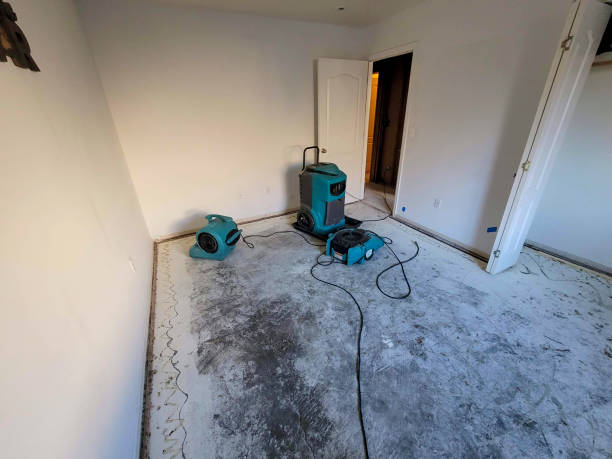 Best Flooded house restoration  in Bloomsburg, PA